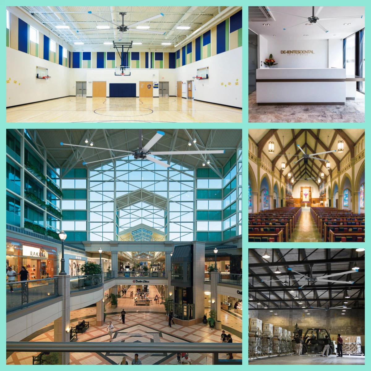 product-1200-1200 product-1200-1200